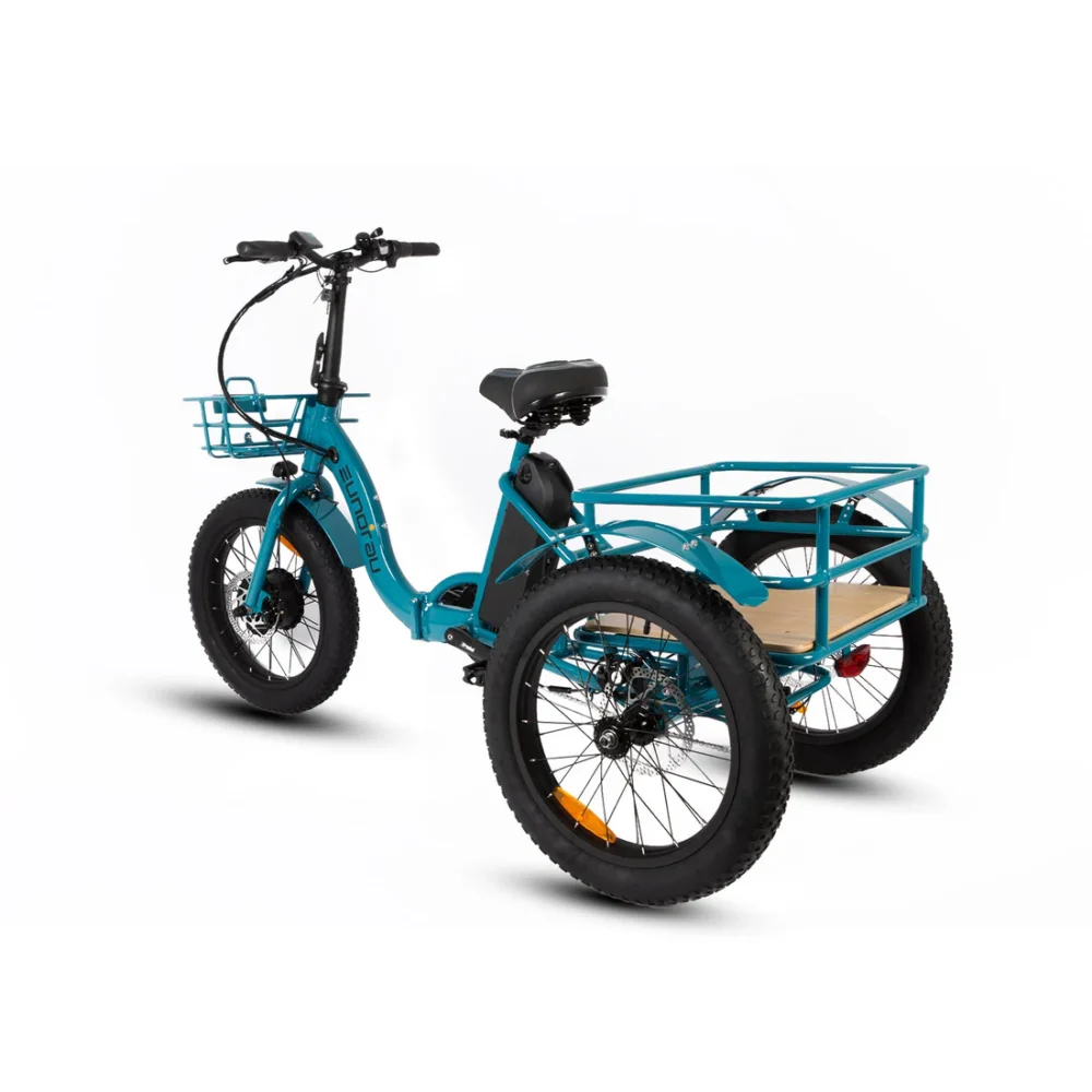 EuNorAu-NEW-TRIKE - Image 3