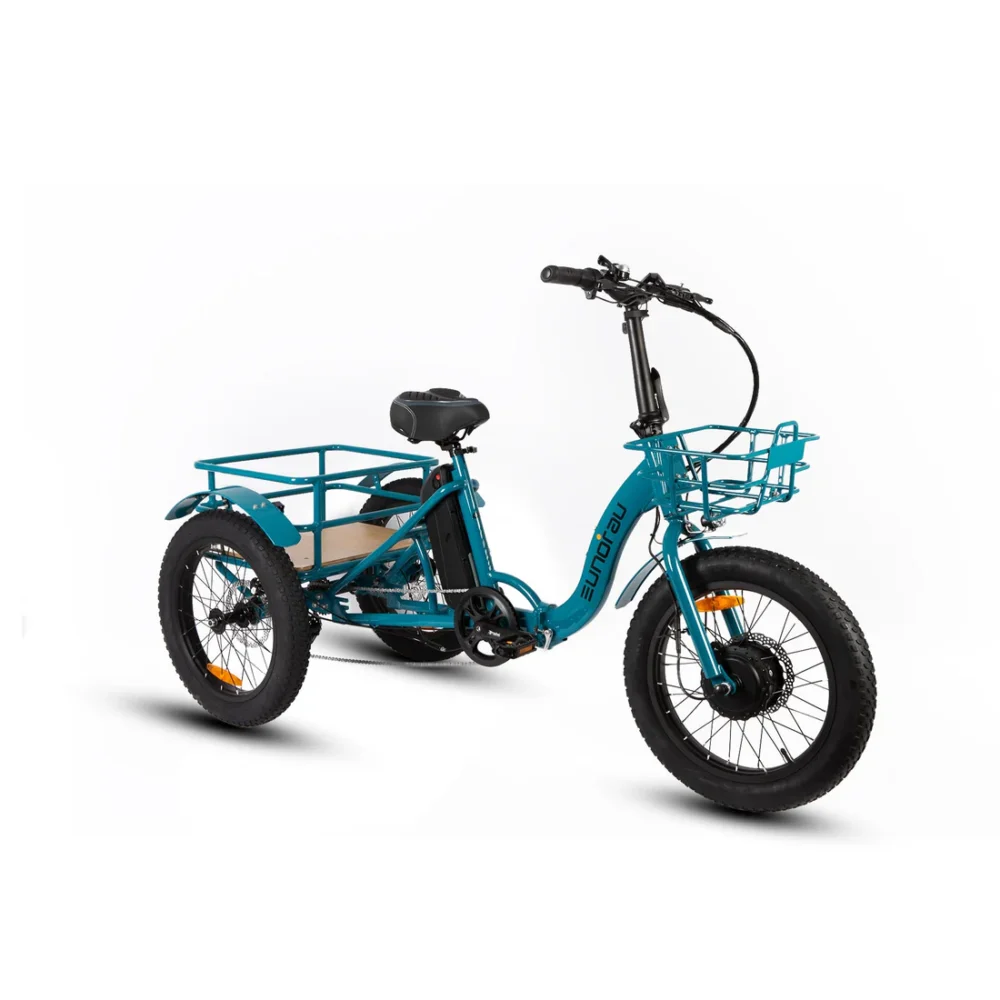 EuNorAu-NEW-TRIKE - Image 4